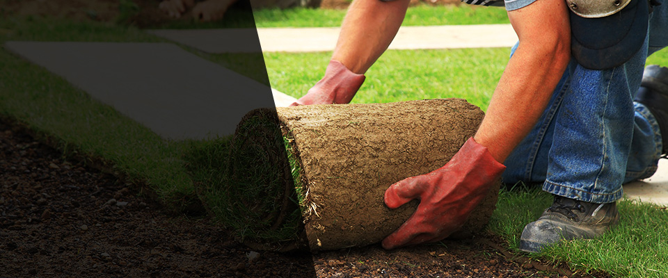 Leonardtown Landscapers